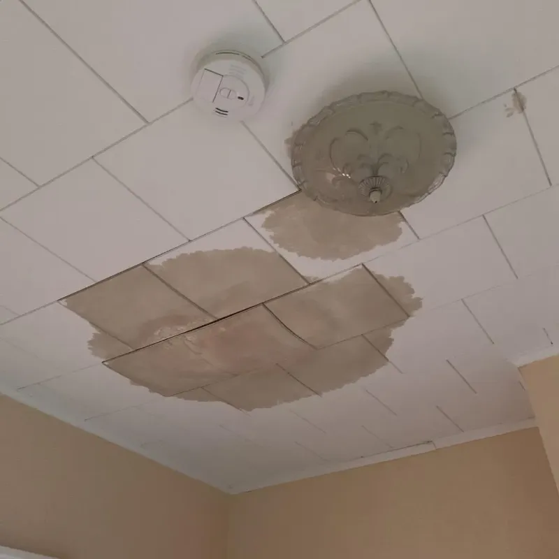 Ceiling Water Damage Repair in Grafton, WI