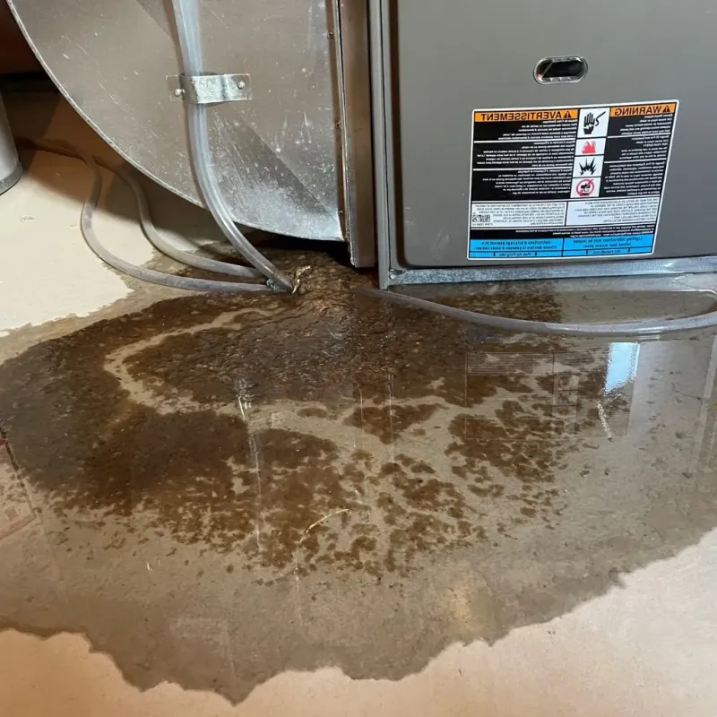 Pipe Burst and Leak Restoration in Grafton, WI