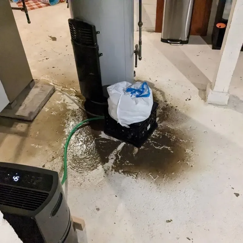 Sewage Backup Cleanup Service in Grafton, WI